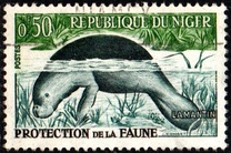 [Animal Protection, type M]