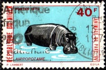 [Animals from the Wild Reserve, Вид MV]