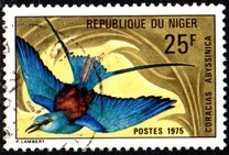 [Birds, type PP]