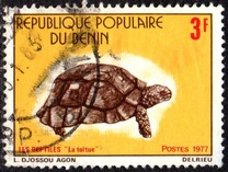 [Reptiles and Domestic Animals, 类型 AV]