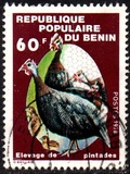 [Domestic Poultry, Tip DC]