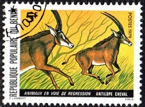 [Endangered Animals, Вид EC]