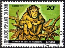 [Endangered Animals, Вид EE]