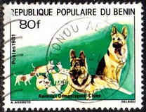 [Domestic Animals, type HC]
