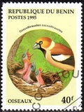 [Birds and their Young, type QI]
