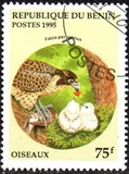 [Birds and their Young, type QK]
