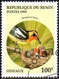 [Birds and their Young, type QL]