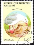 [Birds and their Young, type QM]