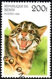 [Wild Cats, Typ TI]
