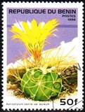 [Flowering Cacti, Tip TW]