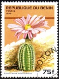 [Flowering Cacti, Tip TX]