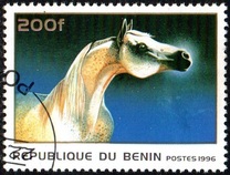 [Horses, type UG]