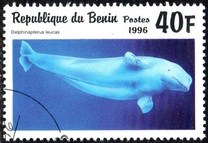 [Marine Mammals, Typ VH]