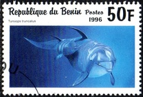 [Marine Mammals, Typ VI]