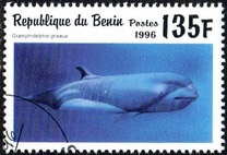 [Marine Mammals, Typ VL]