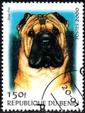 [Not Issued - Dogs, Scrivi QQB]