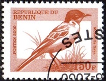 [Not Issued - Birds, වර්ගය QRD]