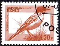 [Not Issued - Birds, වර්ගය QRD]