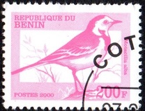 [Not Issued - Birds, වර්ගය QRE]