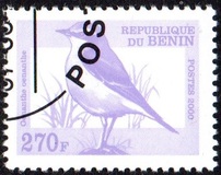 [Not Issued - Birds, වර්ගය QRG]