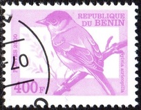 [Not Issued - Birds, වර්ගය QRK]