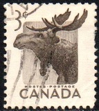 [National Wildlife Week, type GN]
