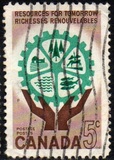 [Natural Resources, type IT]