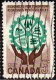 [Natural Resources, type IT]