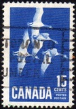 [Canada Geese, タイプ JI]