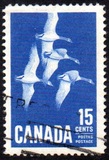 [Canada Geese, タイプ JI]