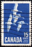 [Canada Geese, タイプ JI]