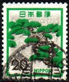 [Definitive Issue, type AYA]