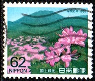 [National Afforestation Campaign, Tüüp CDR]