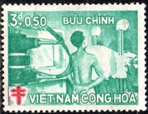 [Anti-tuberculosis Fund, type AC]