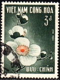 [Flowers, type BW]