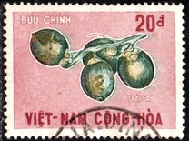 [Fruits, type DD]