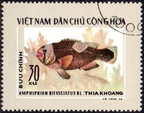 [Fish, type E]