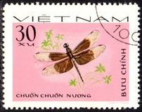 [Dragonflies, tyyppi T]