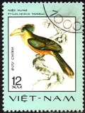 [Rare Birds, type Z]