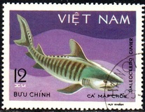 [Marine Life - Sharks & Stingrays, type HH]