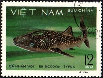 [Marine Life - Sharks & Stingrays, type HI]