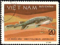 [Marine Life - Sharks & Stingrays, type HJ]
