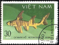 [Marine Life - Sharks & Stingrays, type HK]