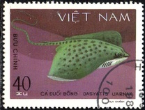 [Marine Life - Sharks & Stingrays, type HL]