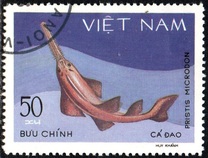[Marine Life - Sharks & Stingrays, type HM]