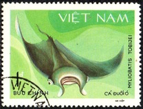 [Marine Life - Sharks & Stingrays, type HO]