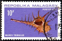 [Marine Snail Housing, प्रकार QO]