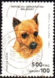 [Dogs, Вид AQC]