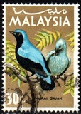 [Birds, type I]