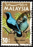 [Birds, type I]